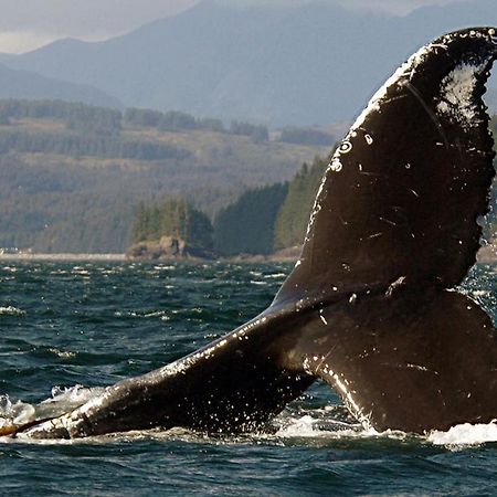 Kodiak Compass Suites エクステリア 写真